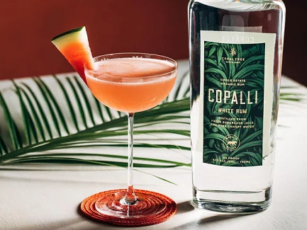A glass of cocktail with a watermelon wedge sits beside a bottle of Copalli White Rum on a table, set against a palm leaf backdrop. Explore Rum! A Private Rum Class.